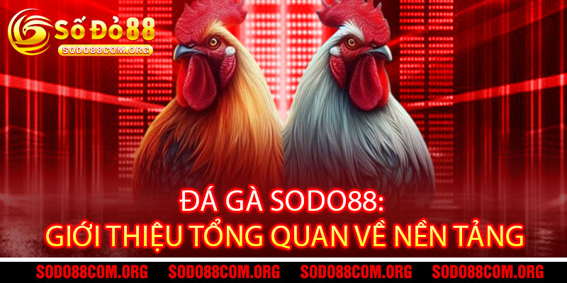 Đá Gà Sodo88 - Truyền lửa đam mê, thưởng thức đá gà đỉnh cao 2 Đá Gà Sodo88: Giới thiệu tổng quan về nền tảng